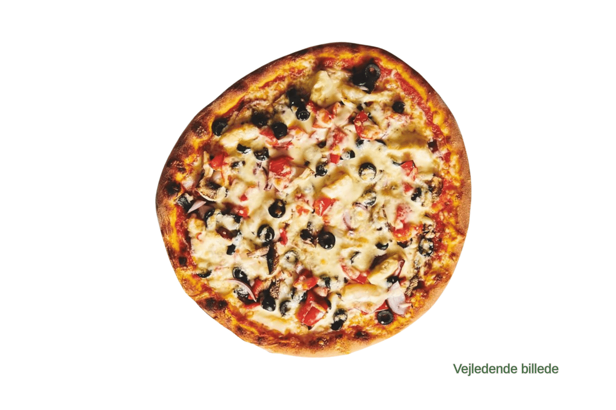 Vegetar 9. Vegetar - Billede 1